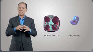 Curso 04 : Tiroides, Problemas y Soluciones